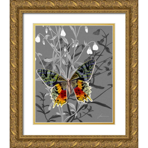 On Display IV Gold Ornate Wood Framed Art Print with Double Matting by Burghardt, James