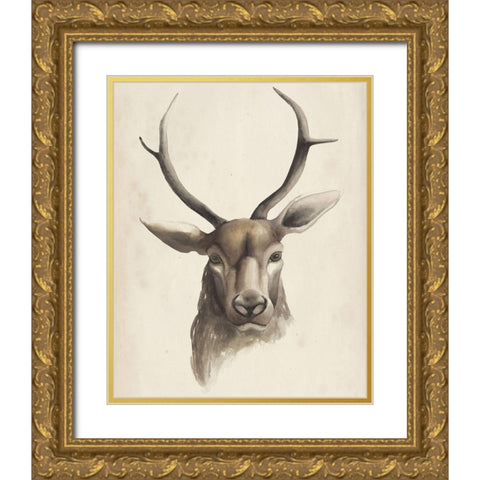 Watercolor Animal Study I Gold Ornate Wood Framed Art Print with Double Matting by Popp, Grace