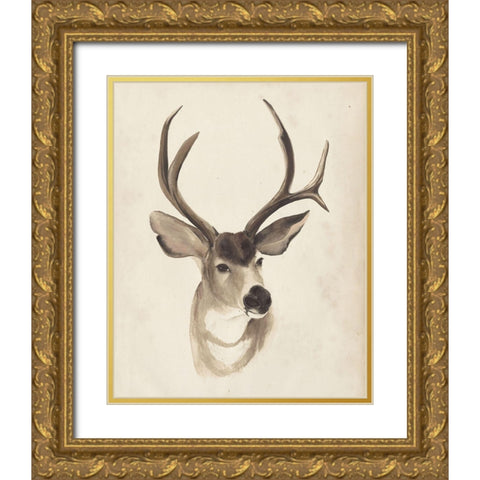 Watercolor Animal Study II Gold Ornate Wood Framed Art Print with Double Matting by Popp, Grace