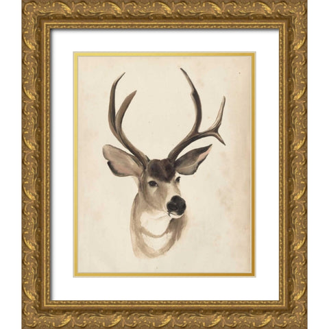Watercolor Animal Study II Gold Ornate Wood Framed Art Print with Double Matting by Popp, Grace