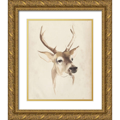 Watercolor Animal Study IV Gold Ornate Wood Framed Art Print with Double Matting by Popp, Grace
