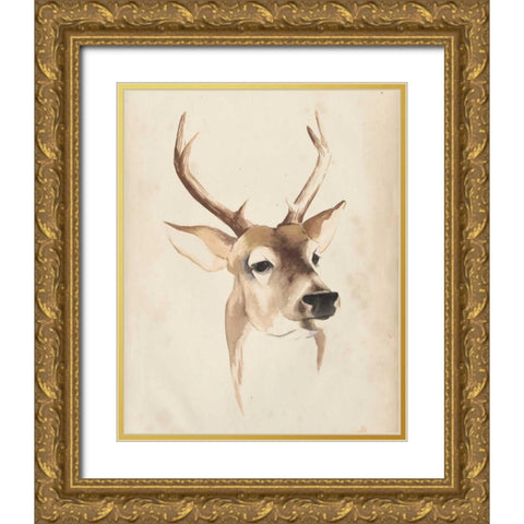 Watercolor Animal Study IV Gold Ornate Wood Framed Art Print with Double Matting by Popp, Grace