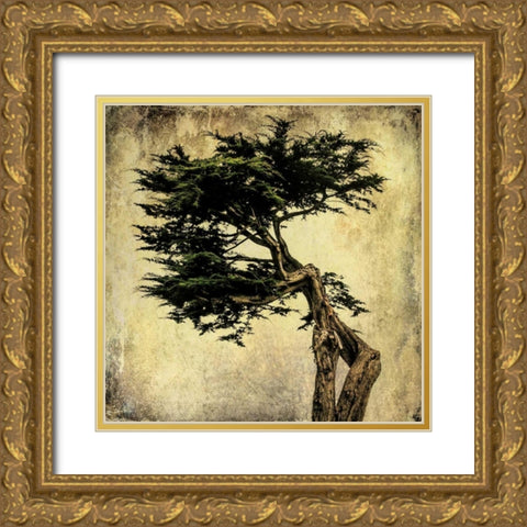 Grand Cypress Gold Ornate Wood Framed Art Print with Double Matting by Malek, Honey