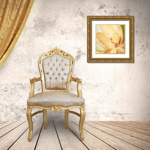 Vintage Magnolia II Gold Ornate Wood Framed Art Print with Double Matting by Malek, Honey