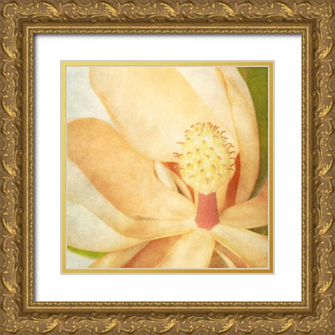 Vintage Magnolia II Gold Ornate Wood Framed Art Print with Double Matting by Malek, Honey
