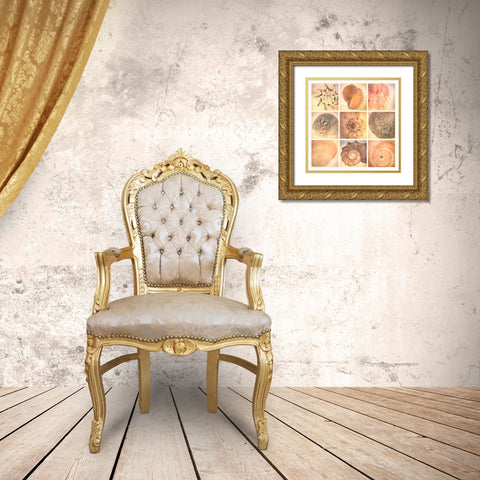Coral Seashells Gold Ornate Wood Framed Art Print with Double Matting by Malek, Honey