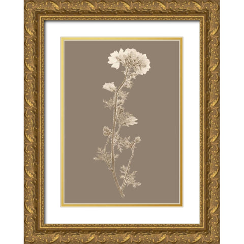 Taupe Nature Study I Custom Gold Ornate Wood Framed Art Print with Double Matting by Vision Studio