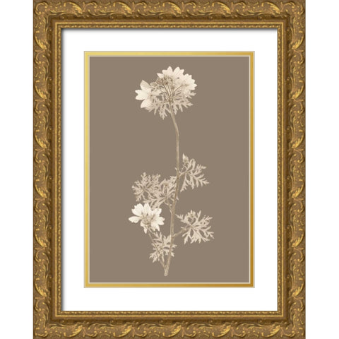 Taupe Nature Study II Custom Gold Ornate Wood Framed Art Print with Double Matting by Vision Studio