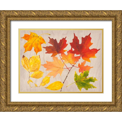 Autumn Leaves Collection A Gold Ornate Wood Framed Art Print with Double Matting by Miller, Dianne