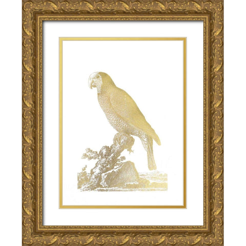 Gold Foil Parrot II Gold Ornate Wood Framed Art Print with Double Matting by Edwards