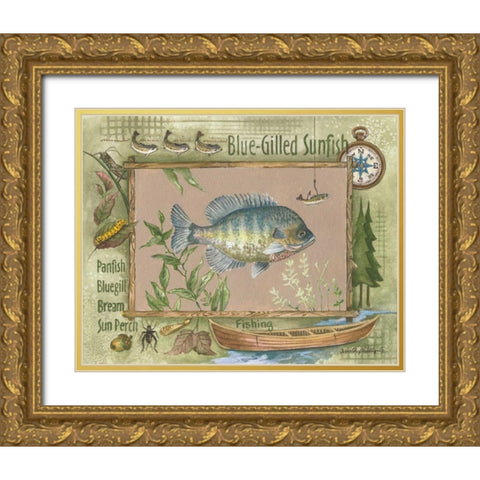 Blue-Gilled Sunfish Gold Ornate Wood Framed Art Print with Double Matting by Phillips, Anita