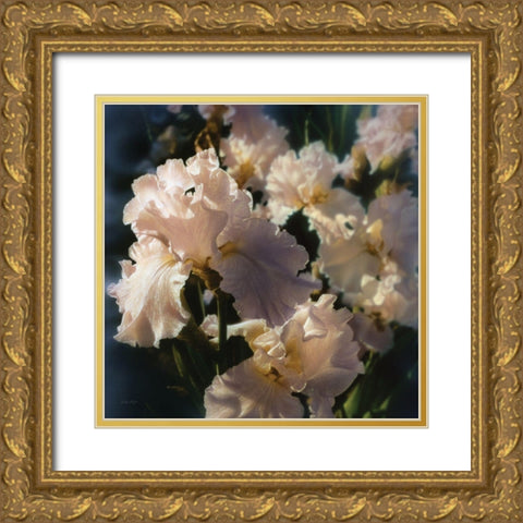 Bearded Iris Gold Ornate Wood Framed Art Print with Double Matting by Bogle, Collin