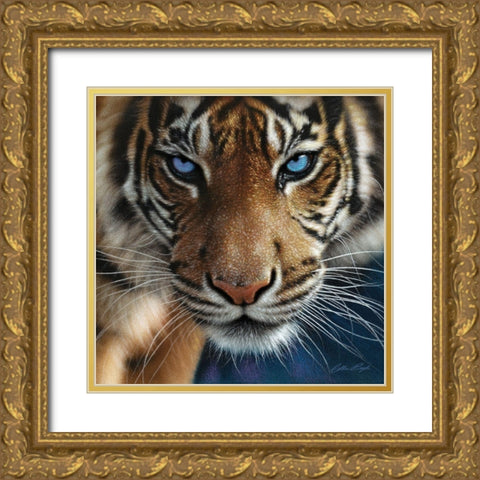 Tiger - Blue Eyes Gold Ornate Wood Framed Art Print with Double Matting by Bogle, Collin