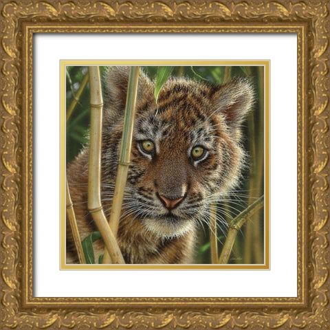 Tiger Cub - Discovery Gold Ornate Wood Framed Art Print with Double Matting by Bogle, Collin