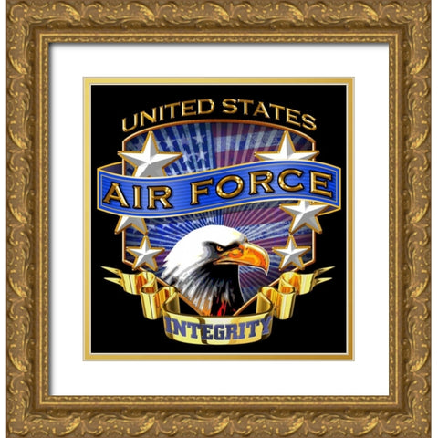 Air Force Gold Ornate Wood Framed Art Print with Double Matting by Baldwin, Jim