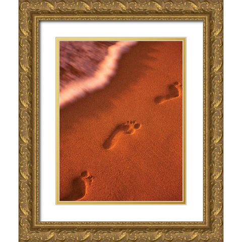 Footprints Gold Ornate Wood Framed Art Print with Double Matting by Frates, Dennis