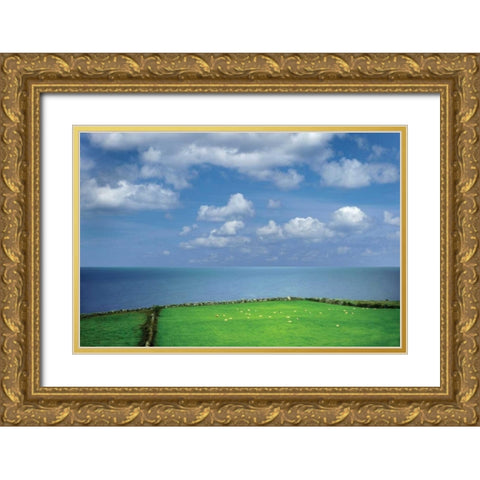 Sheep Herd Gold Ornate Wood Framed Art Print with Double Matting by Frates, Dennis