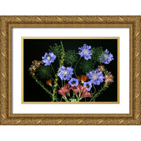 Botanical XI Gold Ornate Wood Framed Art Print with Double Matting by Frates, Dennis