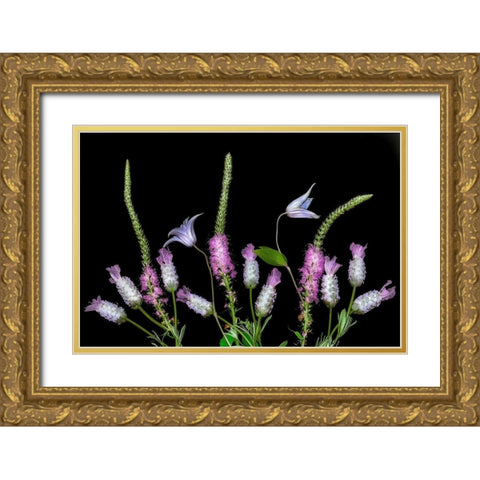 Botanical X Gold Ornate Wood Framed Art Print with Double Matting by Frates, Dennis