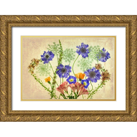 Botanical IX Gold Ornate Wood Framed Art Print with Double Matting by Frates, Dennis