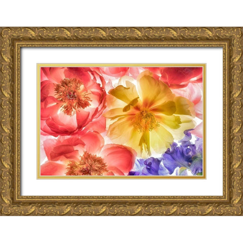 Botanical VIII Gold Ornate Wood Framed Art Print with Double Matting by Frates, Dennis