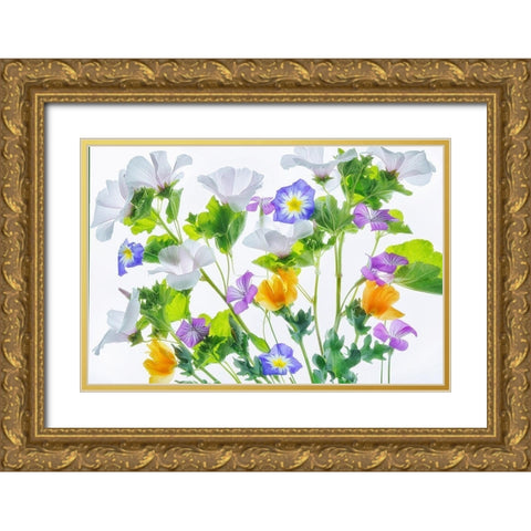 Botanical VI Gold Ornate Wood Framed Art Print with Double Matting by Frates, Dennis