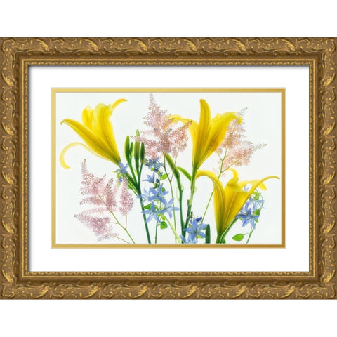 Botanical V Gold Ornate Wood Framed Art Print with Double Matting by Frates, Dennis