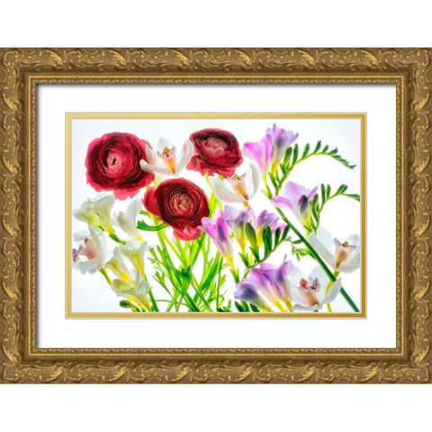 Botanical IV Gold Ornate Wood Framed Art Print with Double Matting by Frates, Dennis