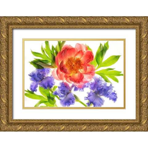 Botanical III Gold Ornate Wood Framed Art Print with Double Matting by Frates, Dennis