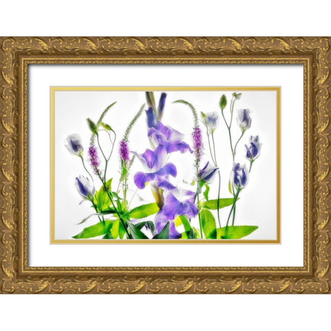 Botanical II Gold Ornate Wood Framed Art Print with Double Matting by Frates, Dennis