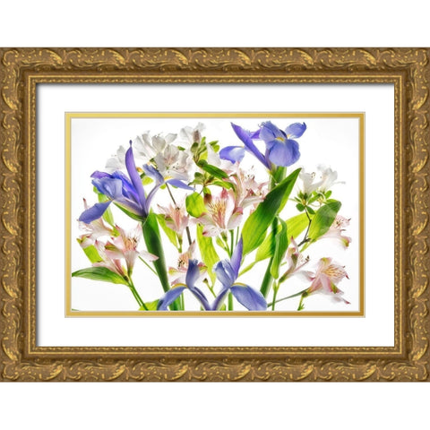 Botanical I Gold Ornate Wood Framed Art Print with Double Matting by Frates, Dennis