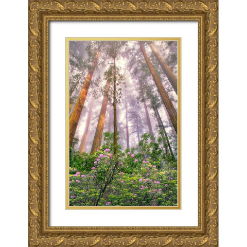 Look Up Gold Ornate Wood Framed Art Print with Double Matting by Frates, Dennis