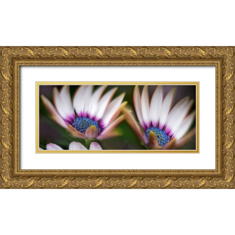 A Pair Gold Ornate Wood Framed Art Print with Double Matting by Frates, Dennis