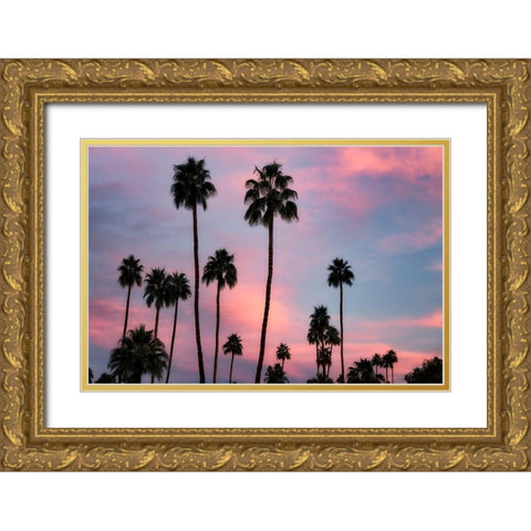 Palm Sunset Gold Ornate Wood Framed Art Print with Double Matting by Frates, Dennis