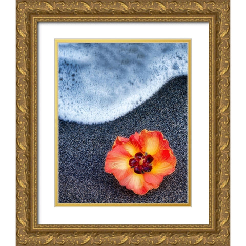 Beach Floral Gold Ornate Wood Framed Art Print with Double Matting by Frates, Dennis