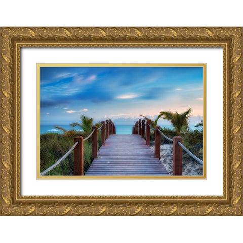 Paradise Path Gold Ornate Wood Framed Art Print with Double Matting by Frates, Dennis