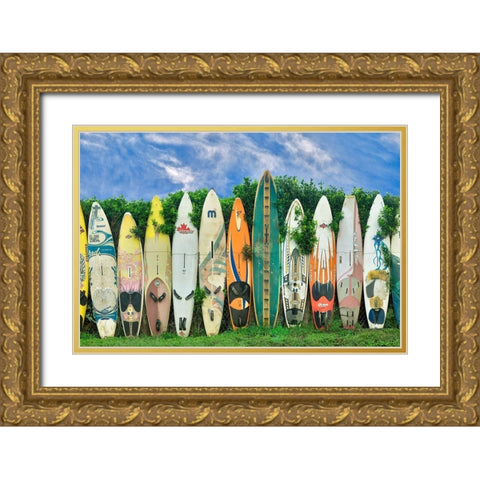Surfboards Gold Ornate Wood Framed Art Print with Double Matting by Frates, Dennis