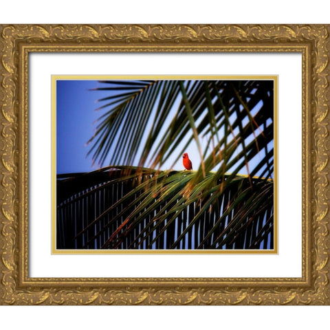 Cardinal Gold Ornate Wood Framed Art Print with Double Matting by Frates, Dennis