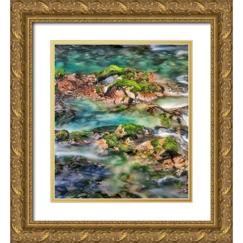 Mossy Rocks Gold Ornate Wood Framed Art Print with Double Matting by Frates, Dennis