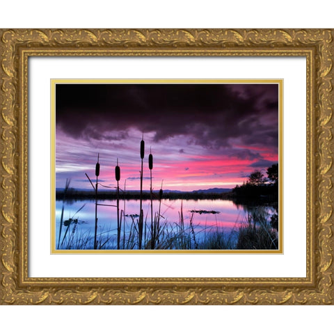 Purple Skies Gold Ornate Wood Framed Art Print with Double Matting by Frates, Dennis