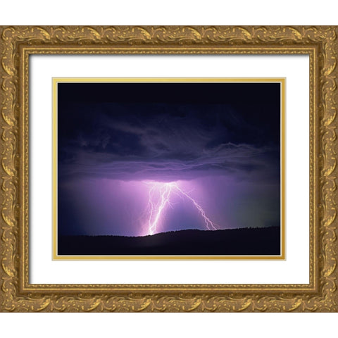 Lightning Gold Ornate Wood Framed Art Print with Double Matting by Frates, Dennis