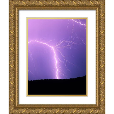 Lightning II Gold Ornate Wood Framed Art Print with Double Matting by Frates, Dennis