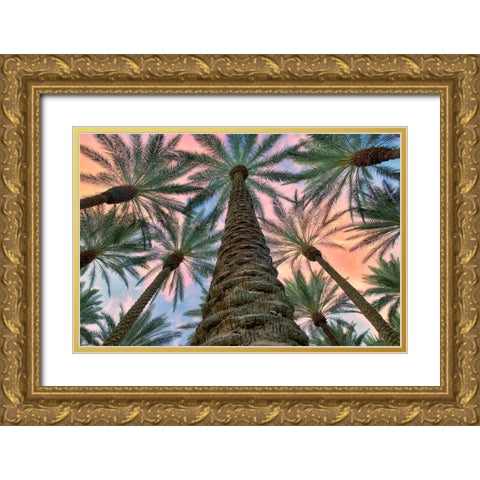 Worms Eye Gold Ornate Wood Framed Art Print with Double Matting by Frates, Dennis