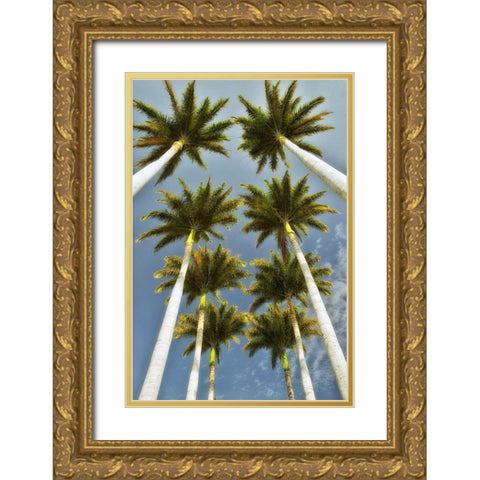 Worms Eye II Gold Ornate Wood Framed Art Print with Double Matting by Frates, Dennis