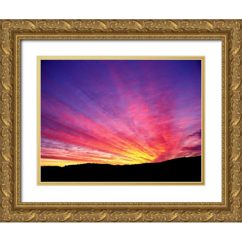 Hyper Color Gold Ornate Wood Framed Art Print with Double Matting by Frates, Dennis