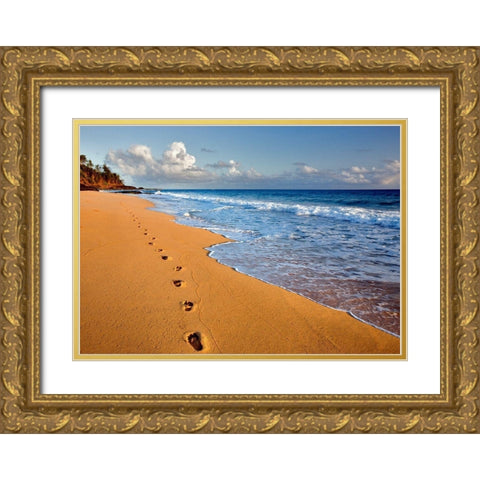 Footprints Gold Ornate Wood Framed Art Print with Double Matting by Frates, Dennis