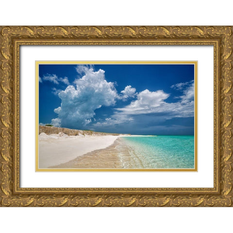 Dream Beach Gold Ornate Wood Framed Art Print with Double Matting by Frates, Dennis