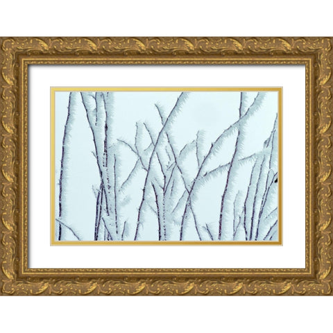 Icy Gold Ornate Wood Framed Art Print with Double Matting by Frates, Dennis