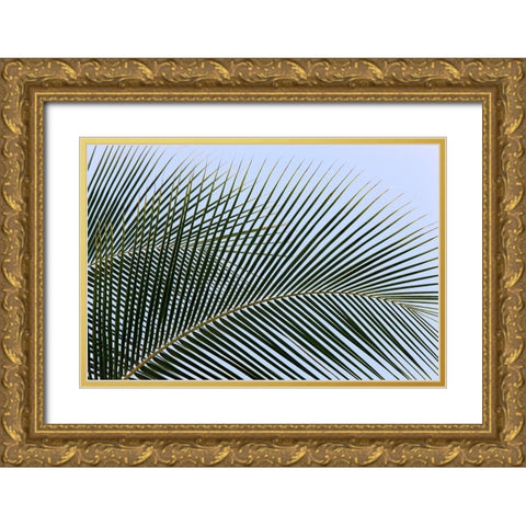 Tropical Gold Ornate Wood Framed Art Print with Double Matting by Frates, Dennis