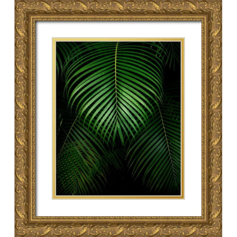 Tropical IV Gold Ornate Wood Framed Art Print with Double Matting by Frates, Dennis